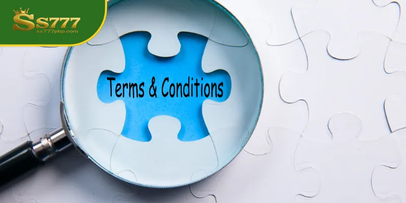 Account Termination and Suspension SS777