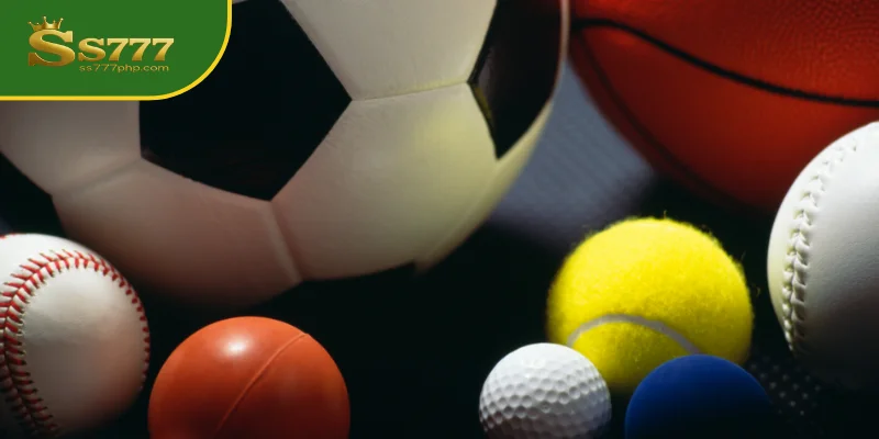 Must-Play Highlight Titles in the Sports Category